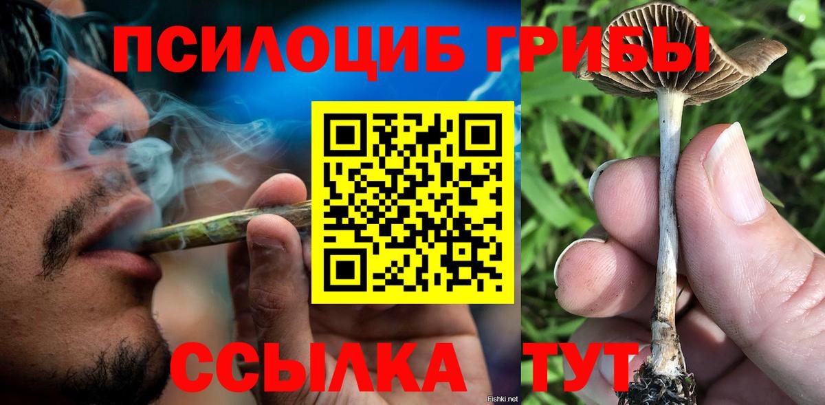 Галлюциногенные грибы GOLDEN TEACHER Сызрань